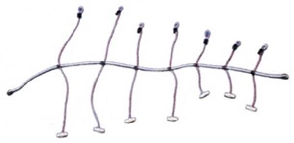 Yelken sarma lastiği (ahtapot) 10MMX300CM