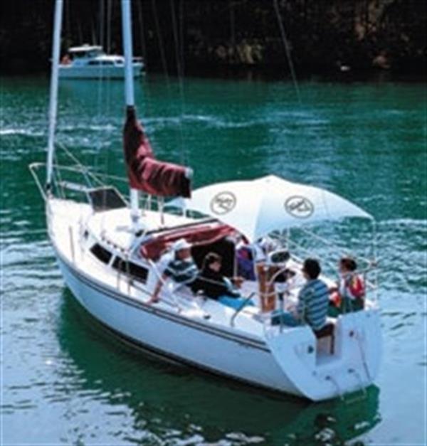 Anchorshade II, Beyaz